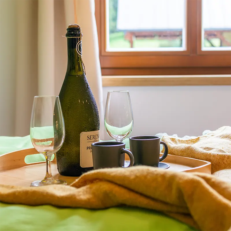 Víno na podnosu apartmán Jaro